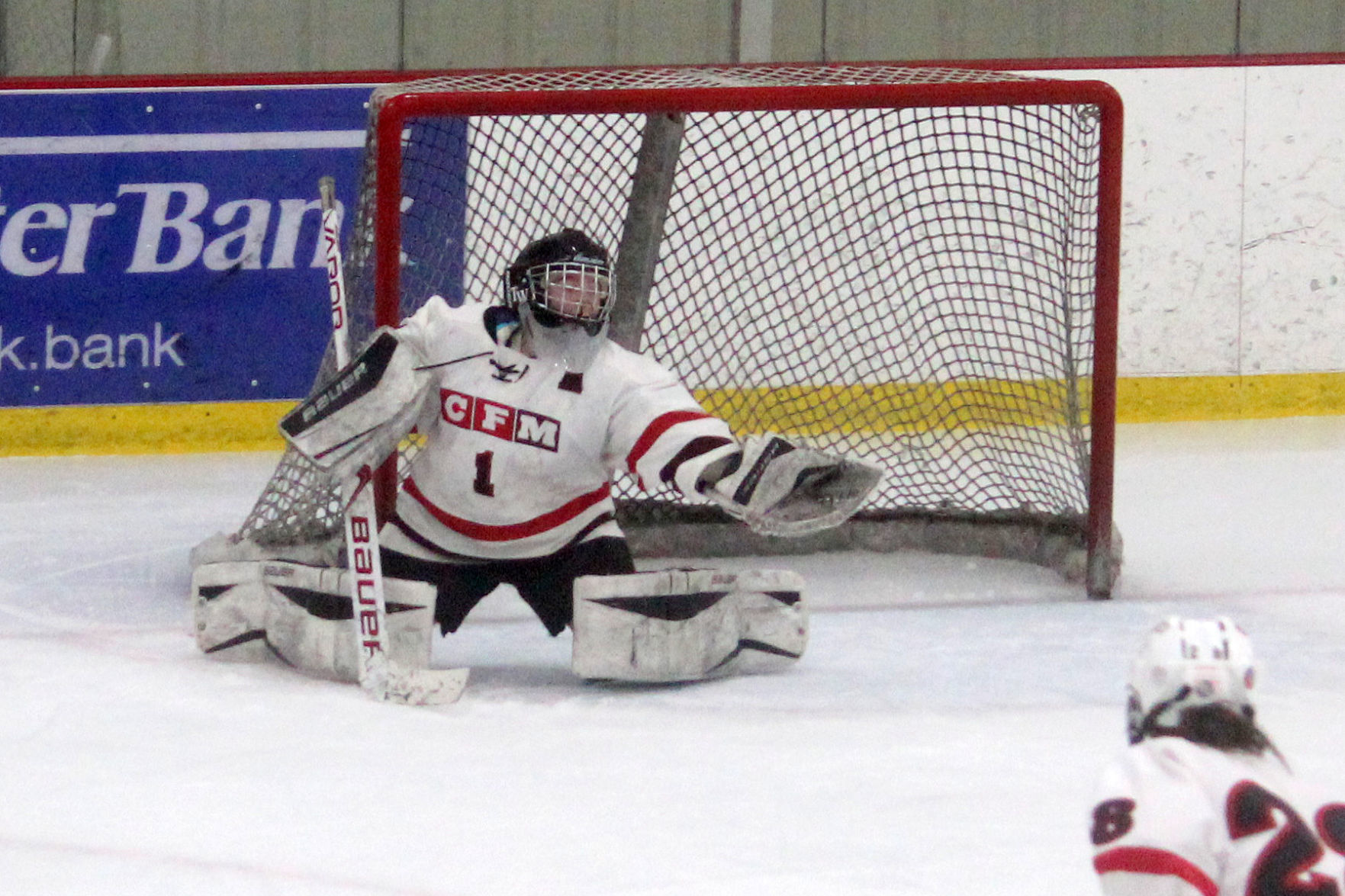 St. Croix Valley at Chi-Hi/Menomonie girls hockey 1-24-19
